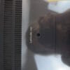 COVER Dell Latitude 7480