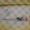 DC Inspiron 5558/55/59 Vostro Power Button Board